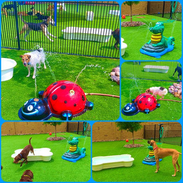 Portable Splash Pad for your backyard