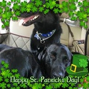 Susan Sterns's photo