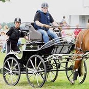 Willi Kringss billede