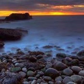 Anne Peterson's photo
