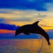 Barbara Blue's photo
