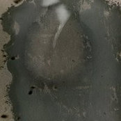 Foto von Chi Hyon Tornow