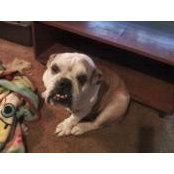 Judy Conboy's photo
