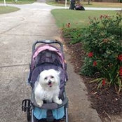 Ann Mobley's photo