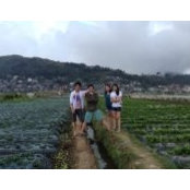 Binoe Mendoza's photo