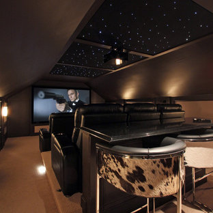 Cette photo montre une grande salle de cinéma tendance fermée avec un mur marron, moquette et un écran de projection.