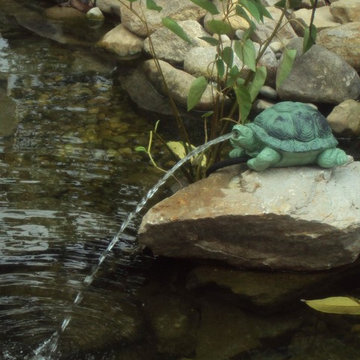 Fountains