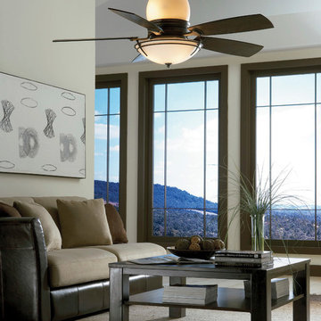 Fanimation Ceiling Fans 2
