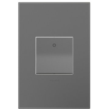 Adorne PaddleTM Switch and Magnesium Wall Plate