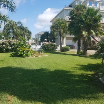 More Lawn Care & Landscaping Work