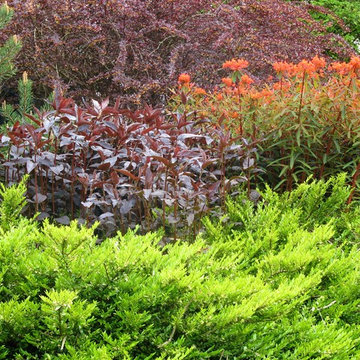 Tuscan inspired garden makeover