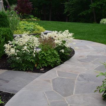 Building a Dream Backyard