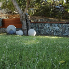 Landscape Ideas