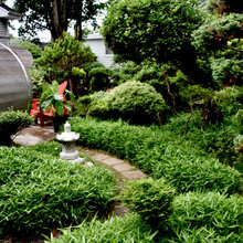 Japanese Style Gardens in Halifax Nova Scotia