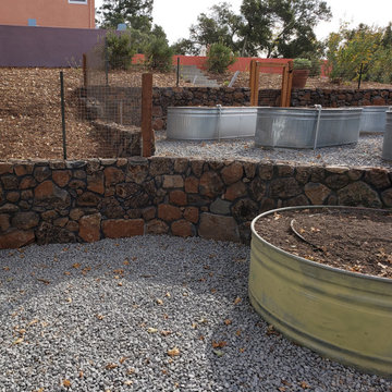 Fire Rebuild with Hamilton Statue and Native Plants