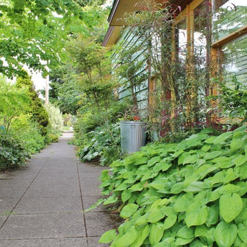 Seattle Organic Garden