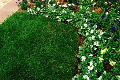 This is an example of a mid-sized traditional partial sun front yard concrete paver garden path in Baltimore for spring.