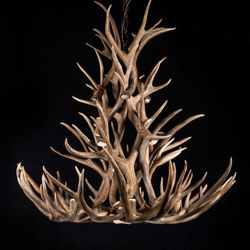 Mule Deer Chandeliers