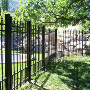 Huntington Fence with Fleur de Lie spear and dog bar