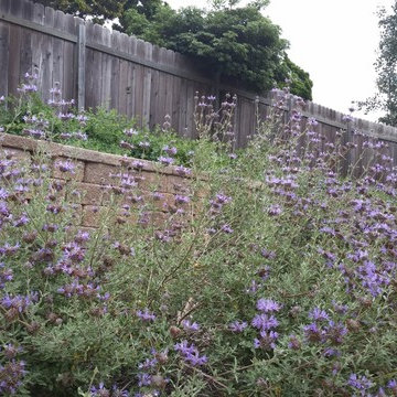 Back yard slope terrace