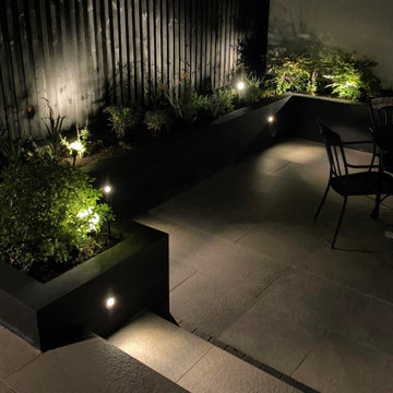 Small modern courtyard garden