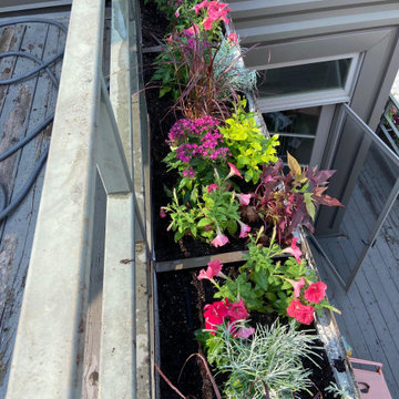 Fine Tuning an Established Garden