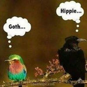 Nancy Darr Donaldson's photo