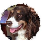 Jill Tierney's photo