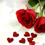 Andrea Yaudas's photo