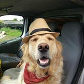 Glenn Oxby's photo
