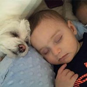 Claudia Paraldi's photo