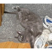 Susan Murphy's photo
