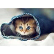 ThuHa Tran's photo
