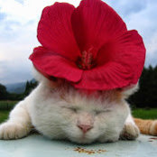 Zhaozhe Liu's photo