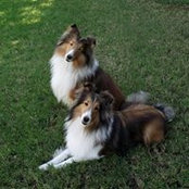 Kathy Henry's photo