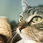 Martina Garrett's photo