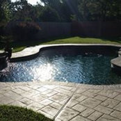 Joe Forrester's photo