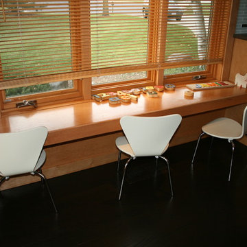 Madison Home Remodel