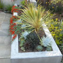 Landscape ideas