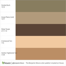 Paint Color