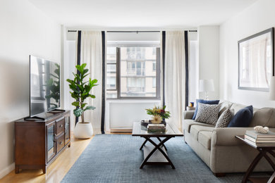 Living room - transitional living room idea in New York