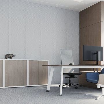 Executive Office at Airoptic Research & Technology Office in Wysogotowo