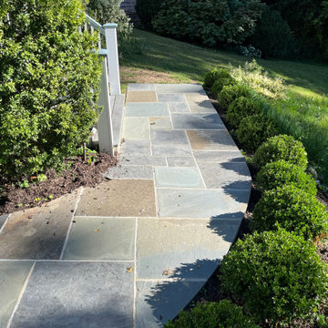 Rejuvenated Walkway and Driveway in Takoma Park Maryland