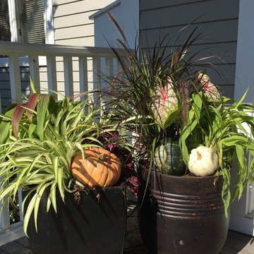 Planters & WIndow Boxes