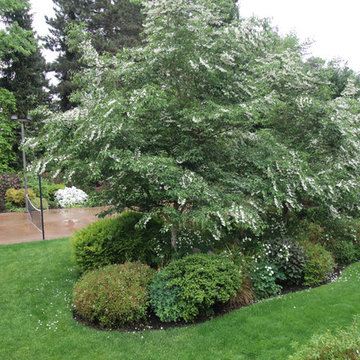 Family Garden with Sport Court