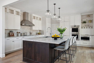 Inspiration for a large transitional home design remodel in San Francisco