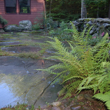 FERNS