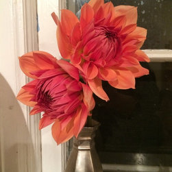 Cut Flower Arrangements - Products