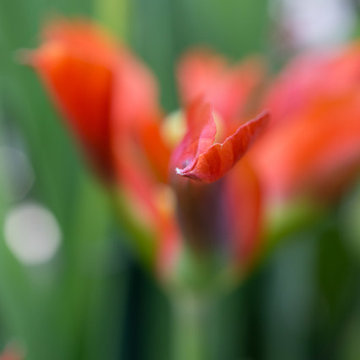 Landscape photography