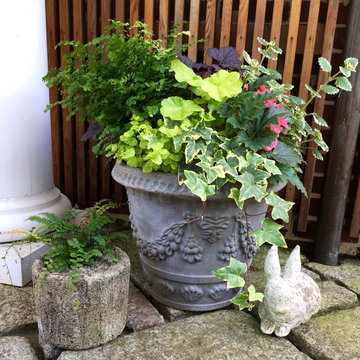 Container Design & Maintenance
